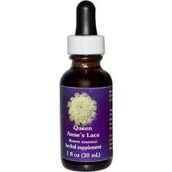 Queen Annes Lace Dropper 1 oz