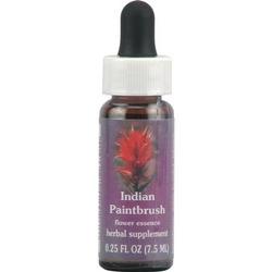 Indian Paintbrush Dropper 0.25 oz