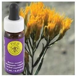 Rabbitbrush Dropper 0.25 oz